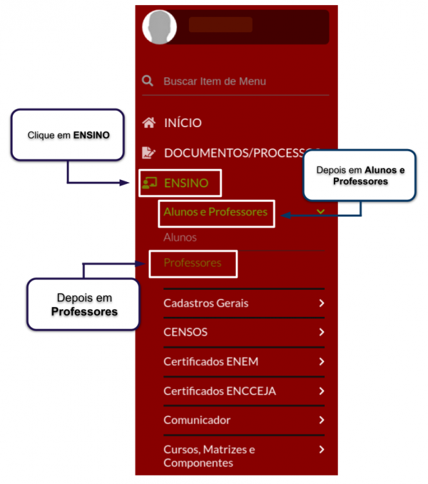 Declaração de Docência 1.png