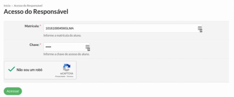Arquivo:Acesso-suap-como-responsavel-06.png