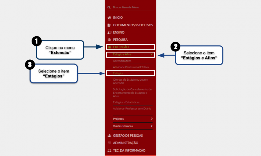 Forma 1 - Gerenciar Estágio.png
