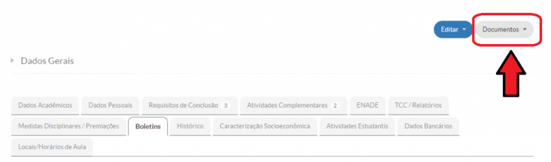 Emitir ou VIsualizar Documentos 02.png