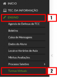 Consultar aulas faltas 01.png