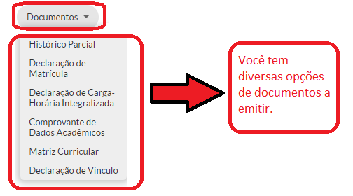 Emitir ou VIsualizar Documentos 03.png
