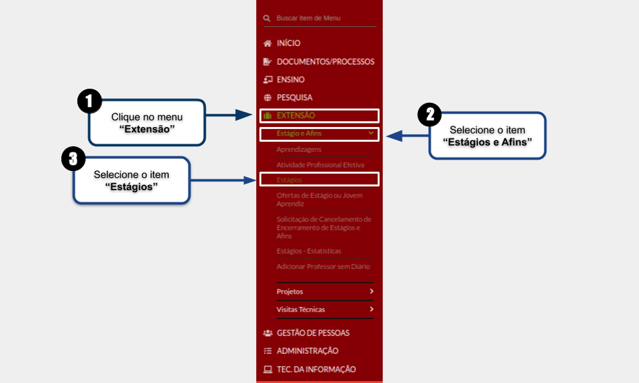 Forma 1 - Gerenciar Estágio.png